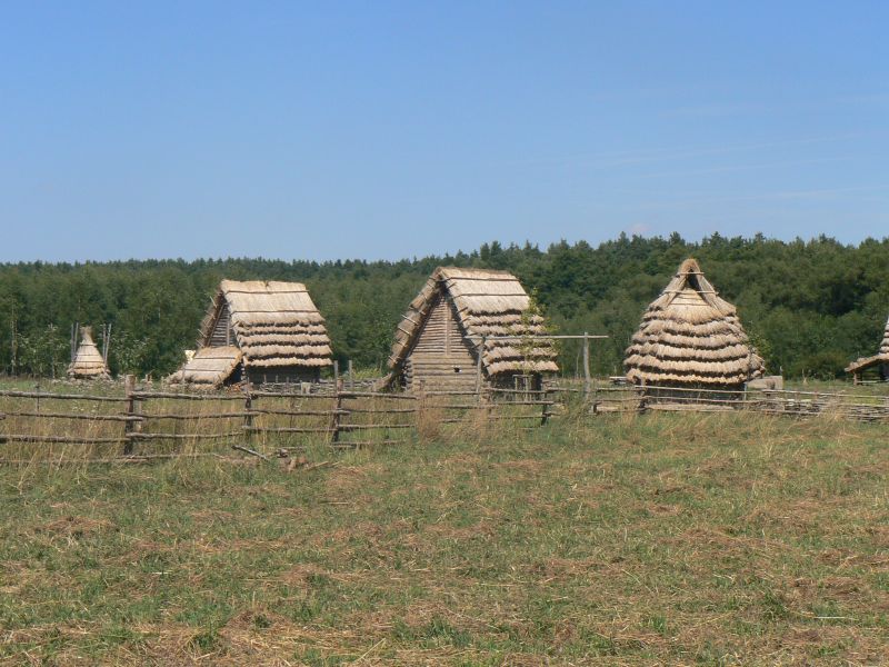 gal/2013/12 Orlik/P1160875.JPG